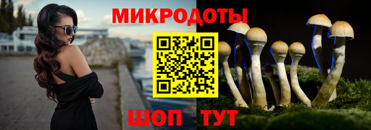 Псилоцибиновые грибы Psilocybine cubensis Глазов